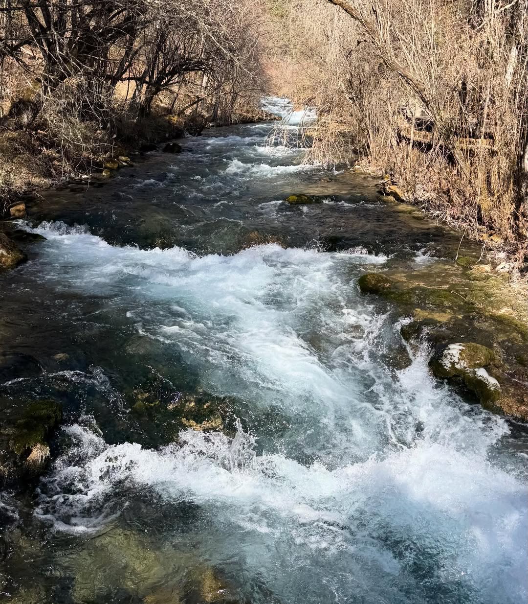 ดุล ร่มจำปา