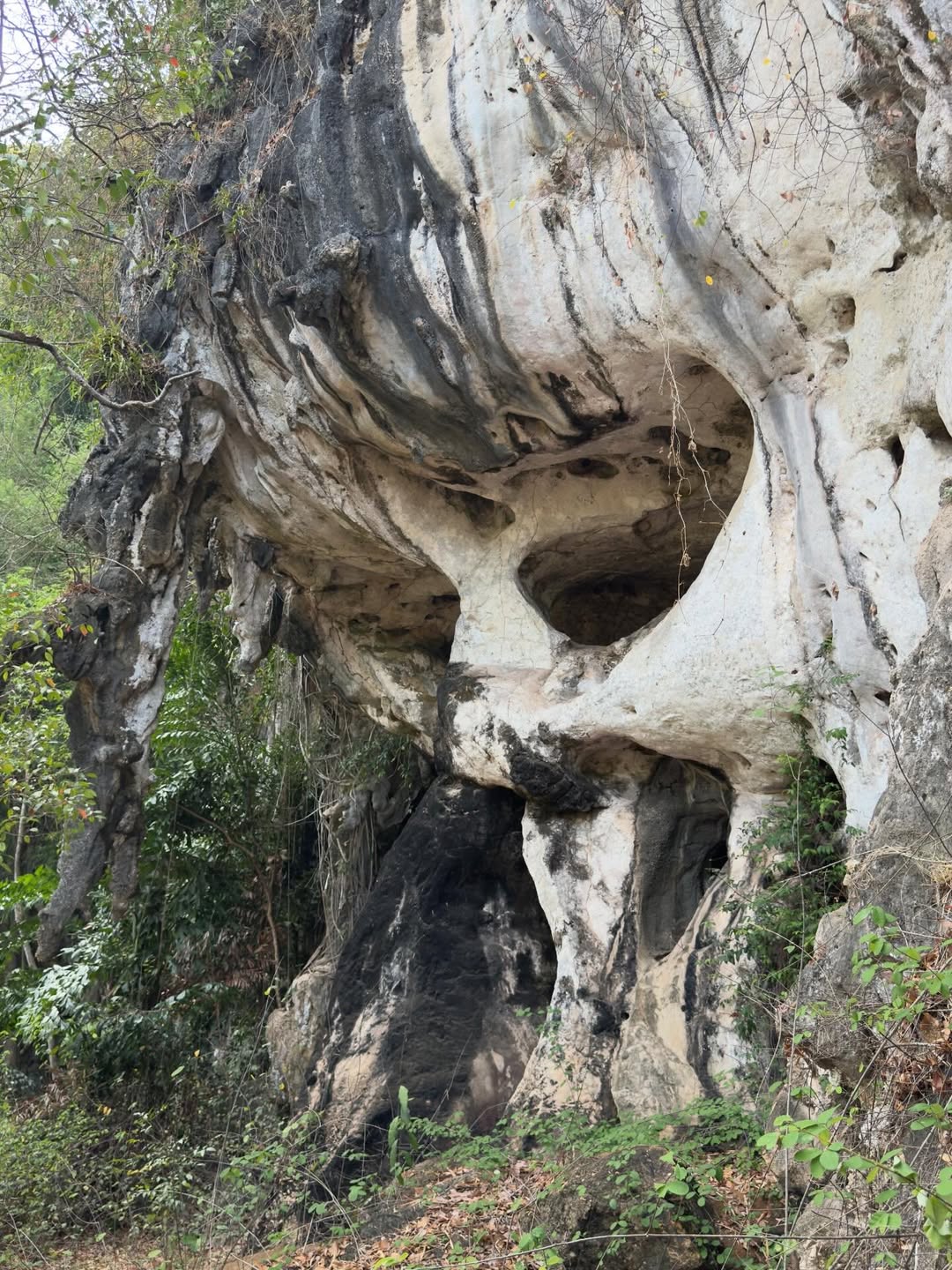 ดุล ร่มจำปา