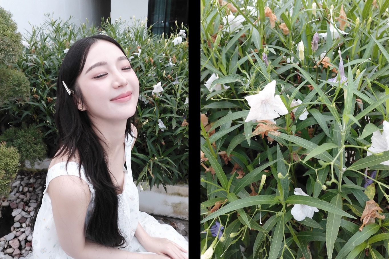ต้าเหนิง - กัญญาวีร์ สองเมือง
