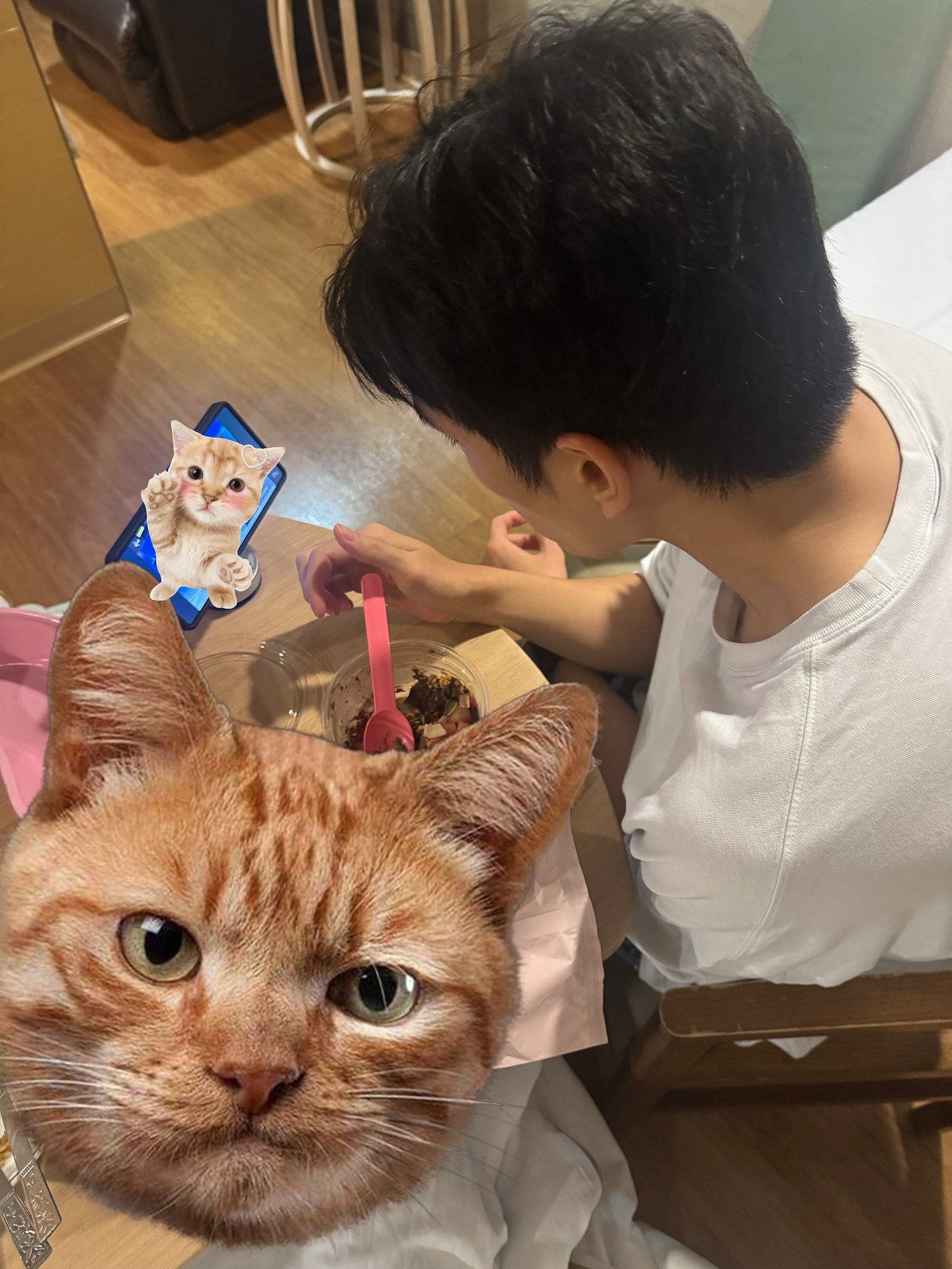 ต้าเหนิง - กัญญาวีร์ สองเมือง