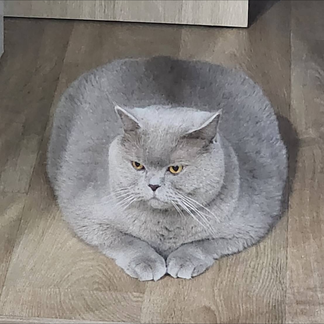 ต้าเหนิง - กัญญาวีร์ สองเมือง