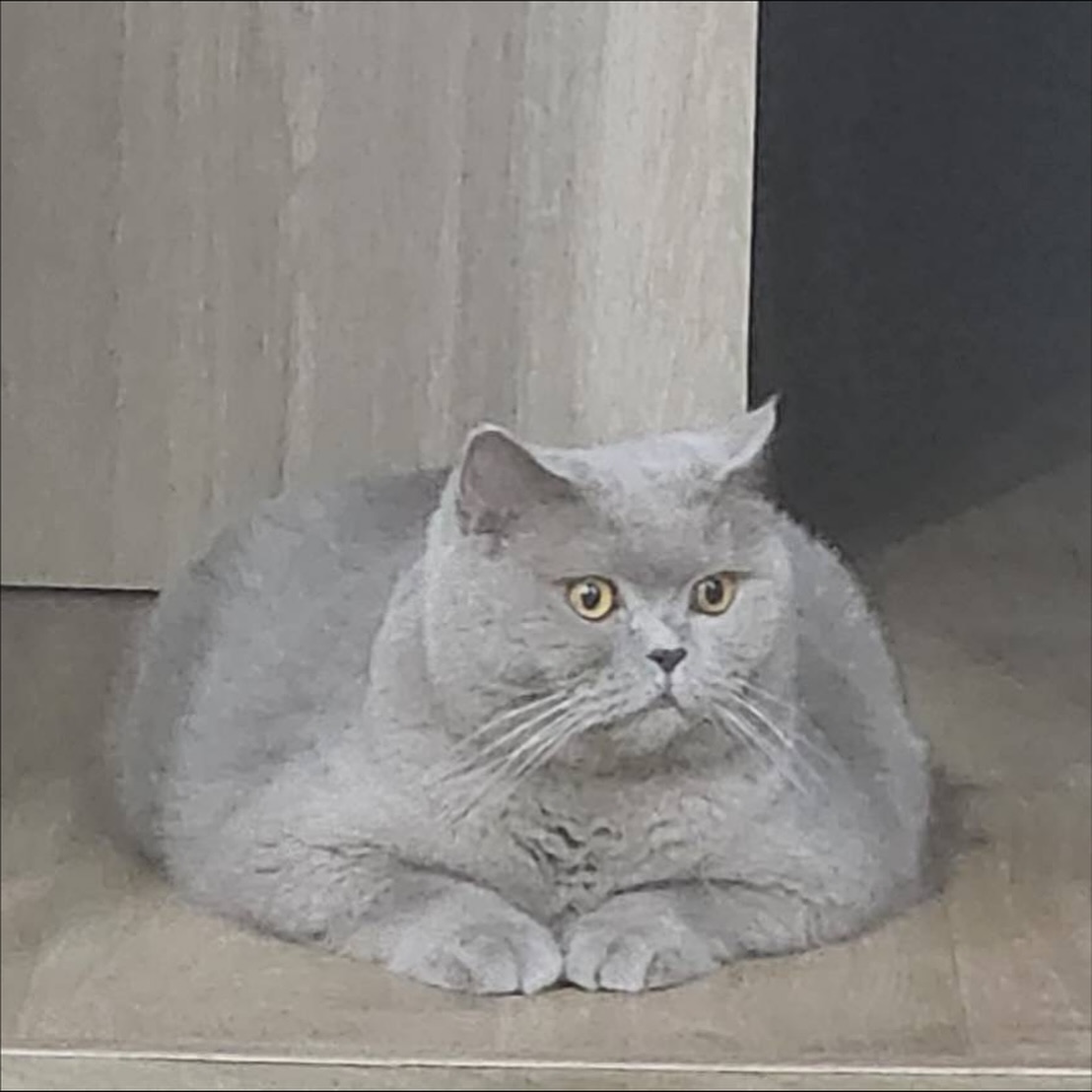 ต้าเหนิง - กัญญาวีร์ สองเมือง