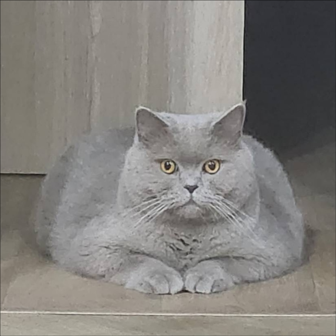 ต้าเหนิง - กัญญาวีร์ สองเมือง