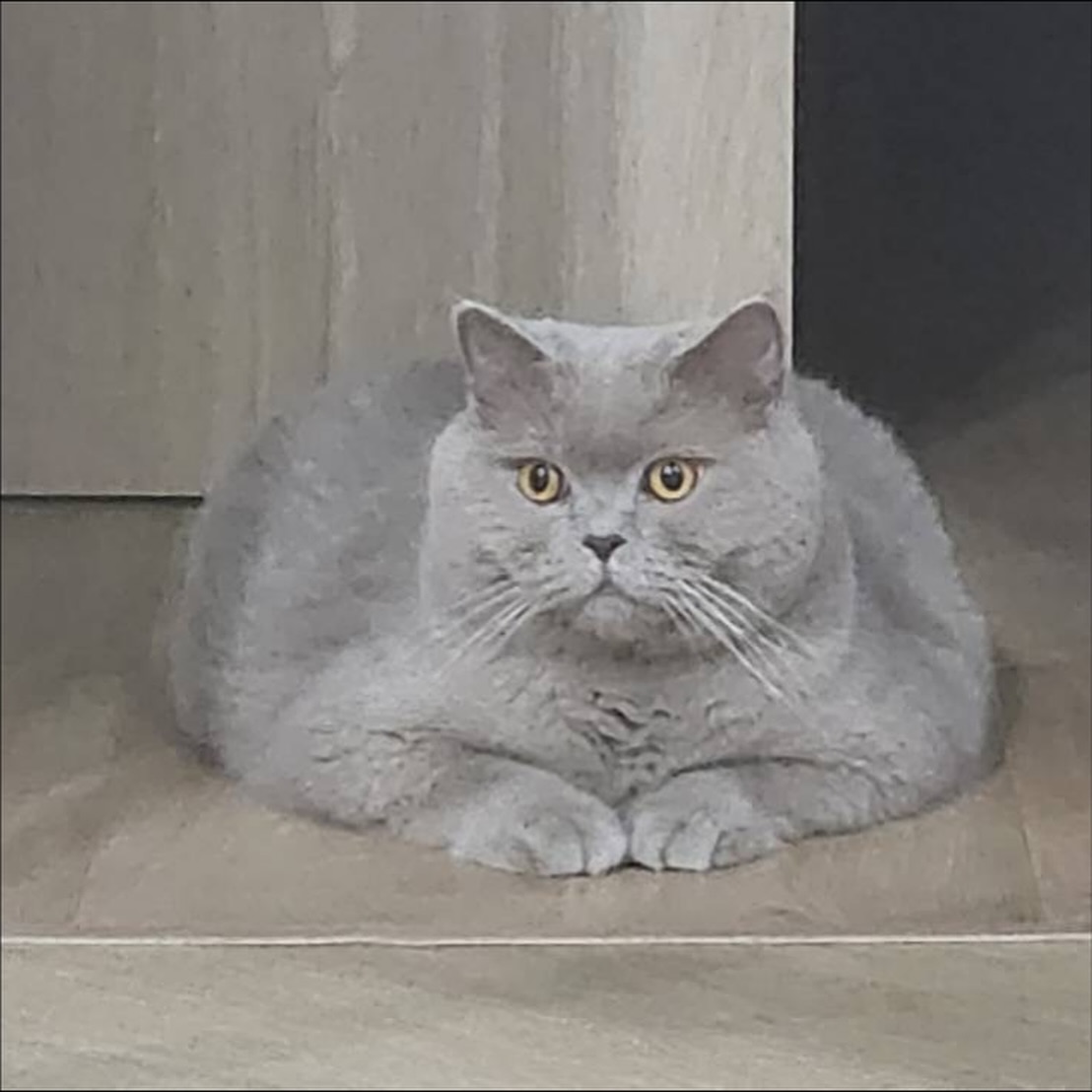 ต้าเหนิง - กัญญาวีร์ สองเมือง