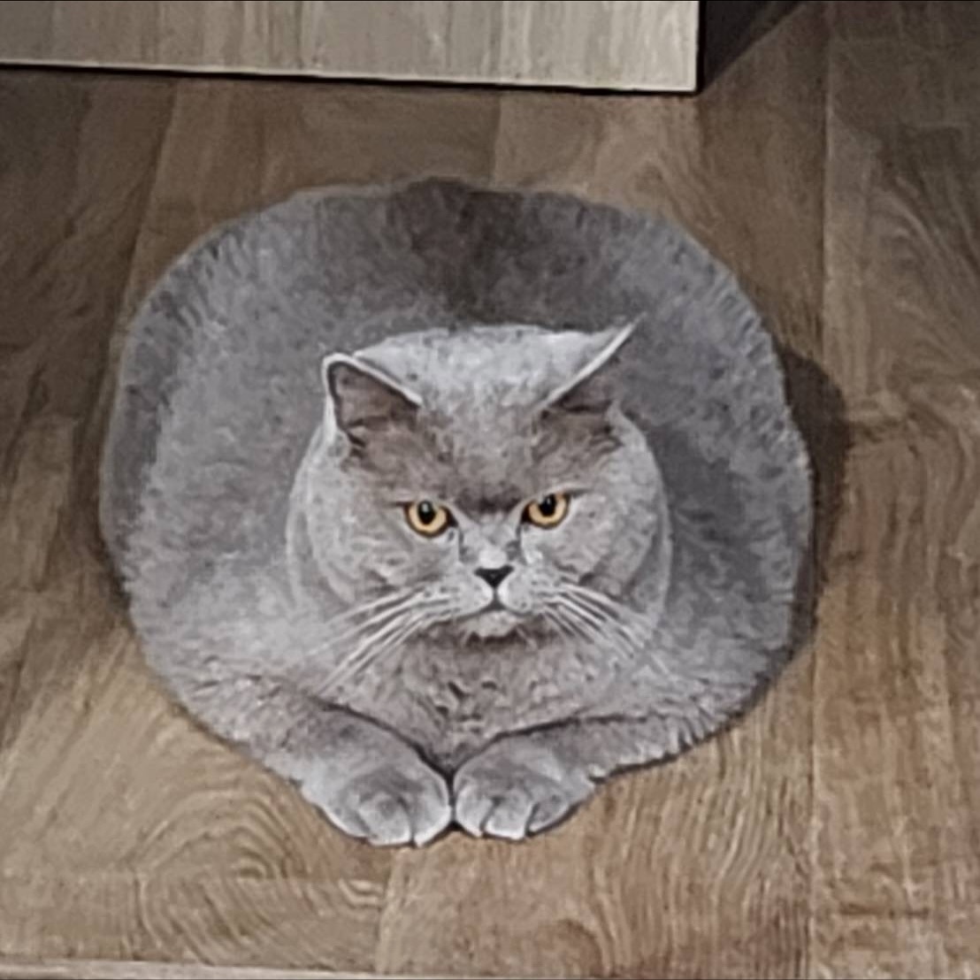 ต้าเหนิง - กัญญาวีร์ สองเมือง