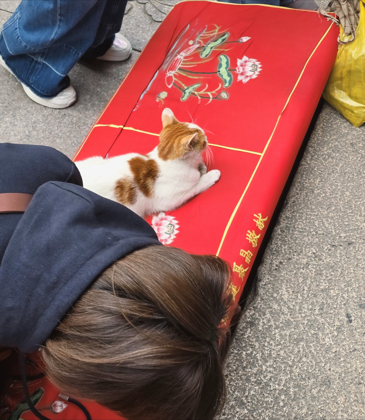 ต้าเหนิง - กัญญาวีร์ สองเมือง