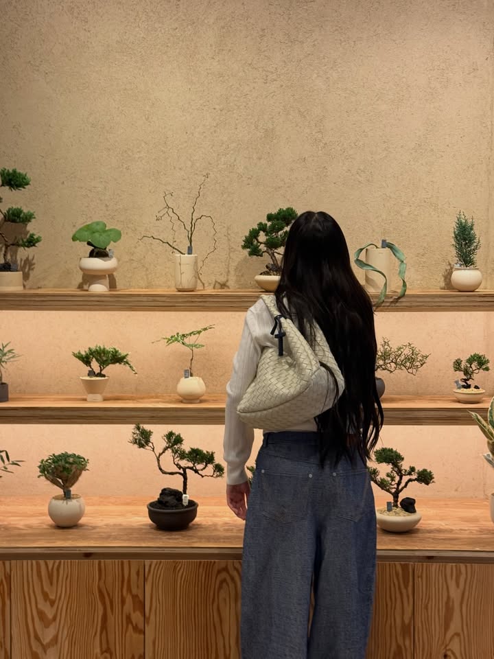 ต้าเหนิง - กัญญาวีร์ สองเมือง