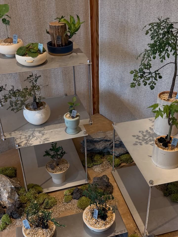 ต้าเหนิง - กัญญาวีร์ สองเมือง