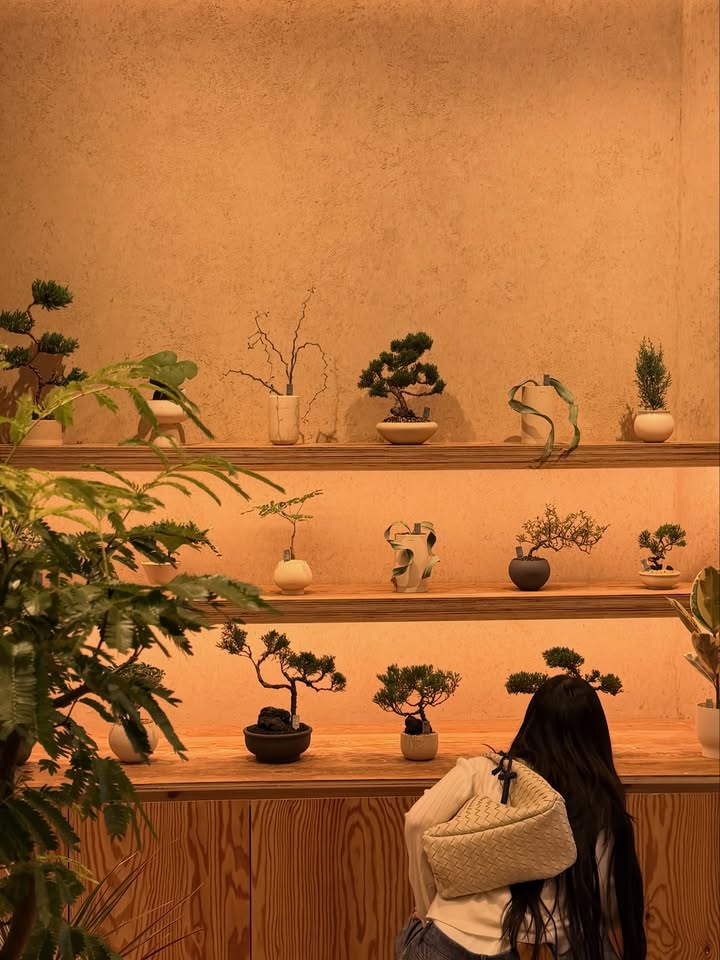 ต้าเหนิง - กัญญาวีร์ สองเมือง