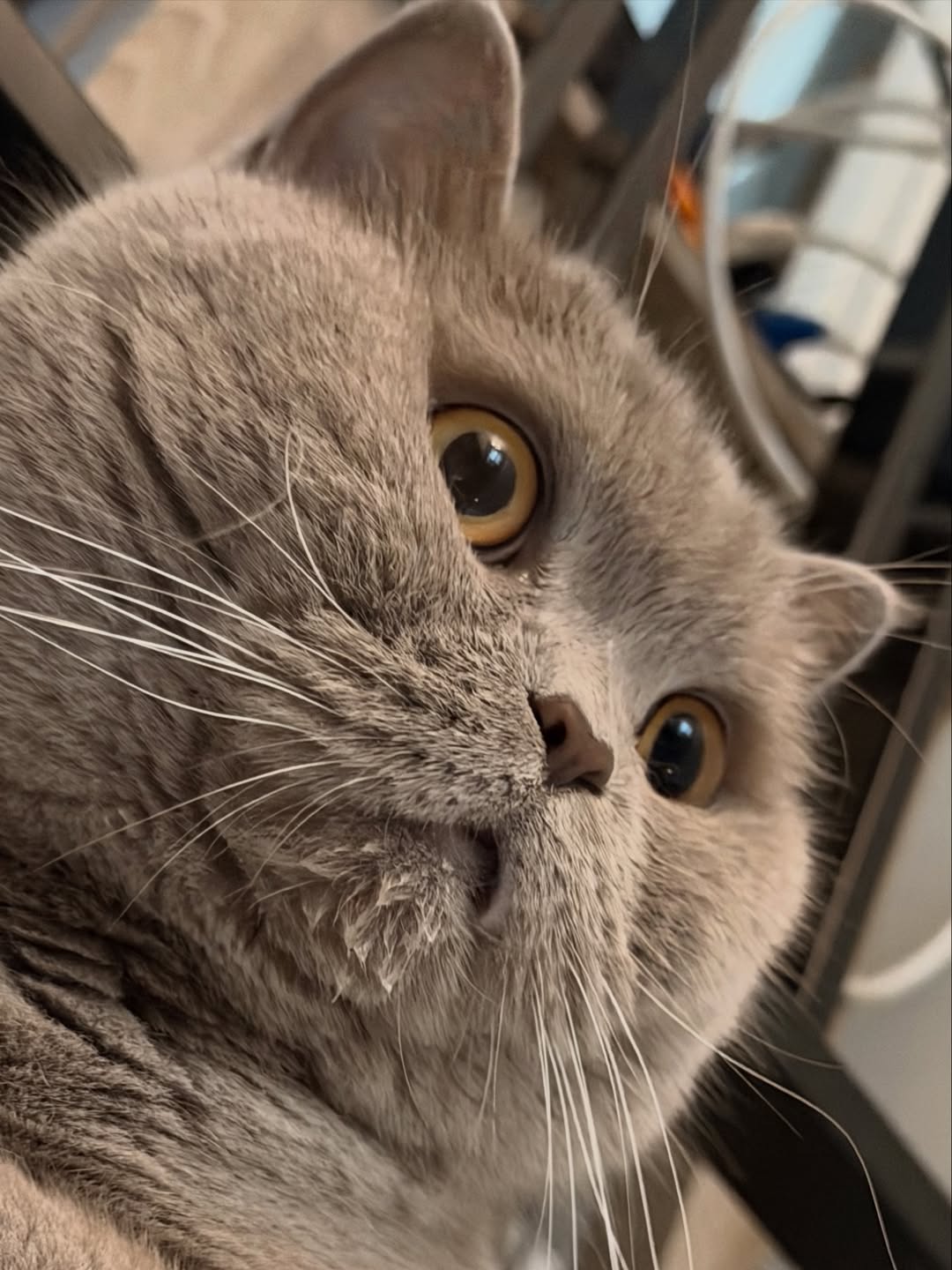 ต้าเหนิง - กัญญาวีร์ สองเมือง