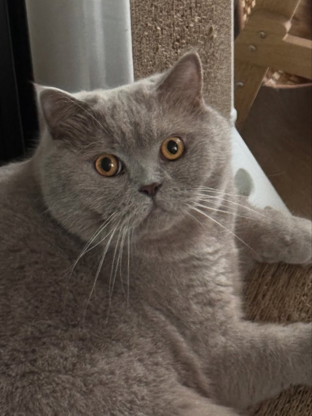 ต้าเหนิง - กัญญาวีร์ สองเมือง