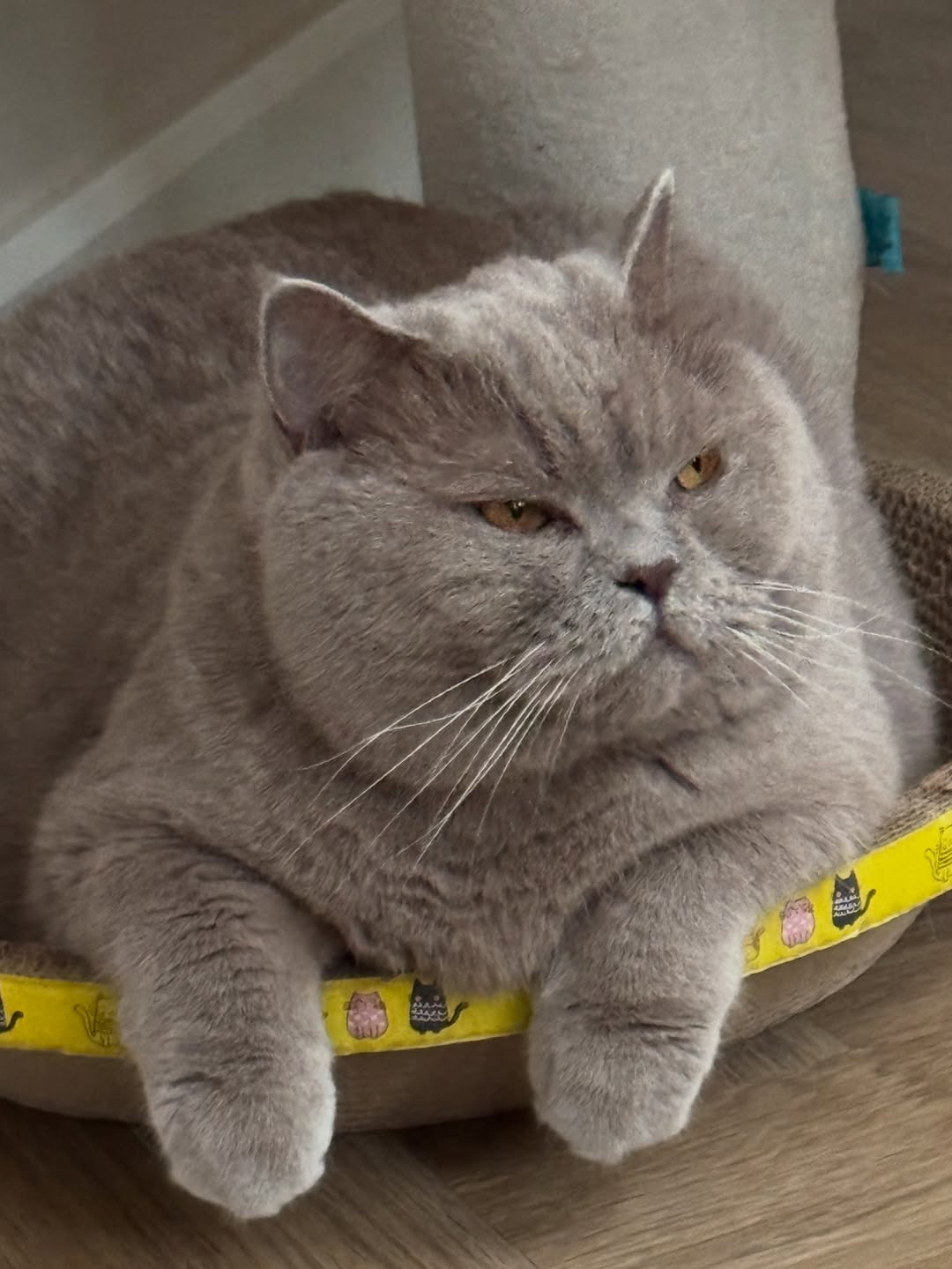 ต้าเหนิง - กัญญาวีร์ สองเมือง