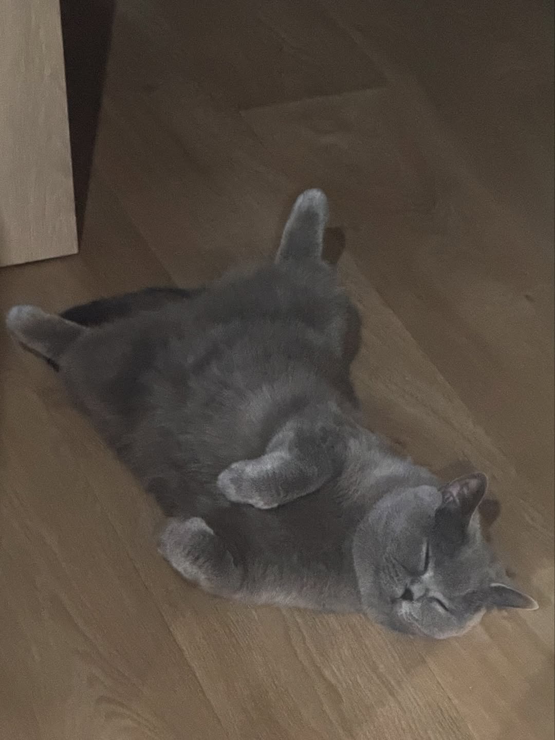 ต้าเหนิง - กัญญาวีร์ สองเมือง