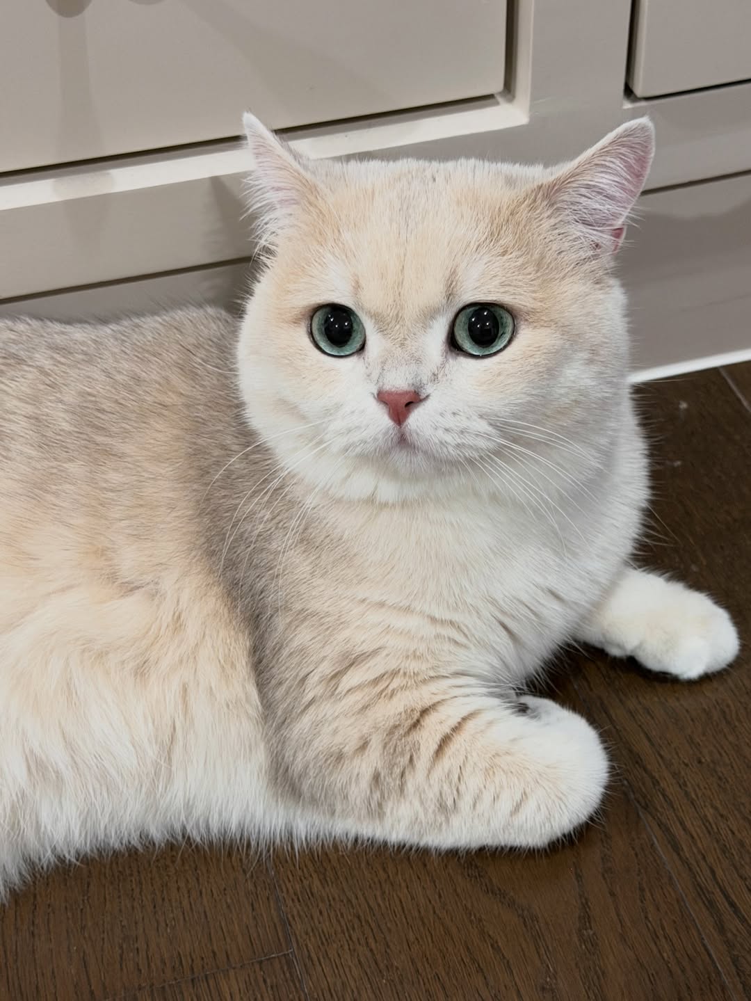 ต้าเหนิง - กัญญาวีร์ สองเมือง