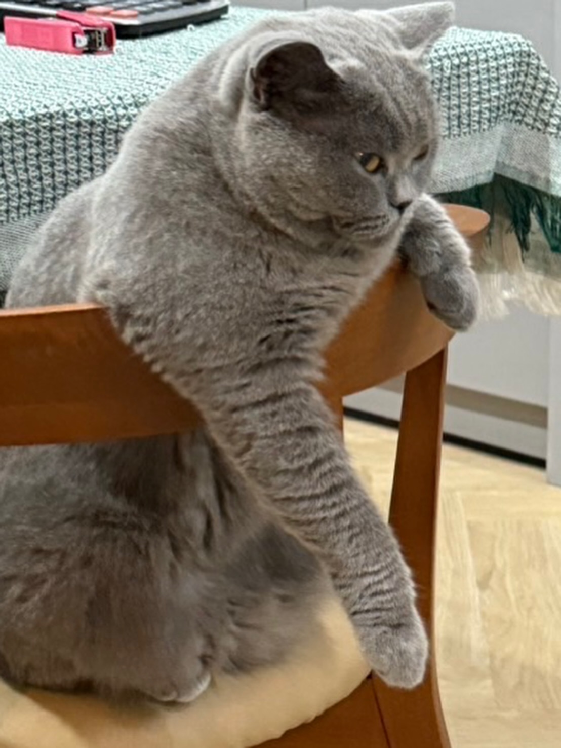 ต้าเหนิง - กัญญาวีร์ สองเมือง