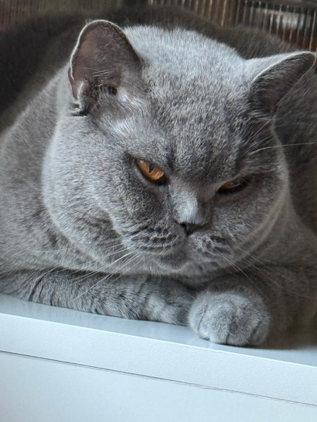 ต้าเหนิง - กัญญาวีร์ สองเมือง