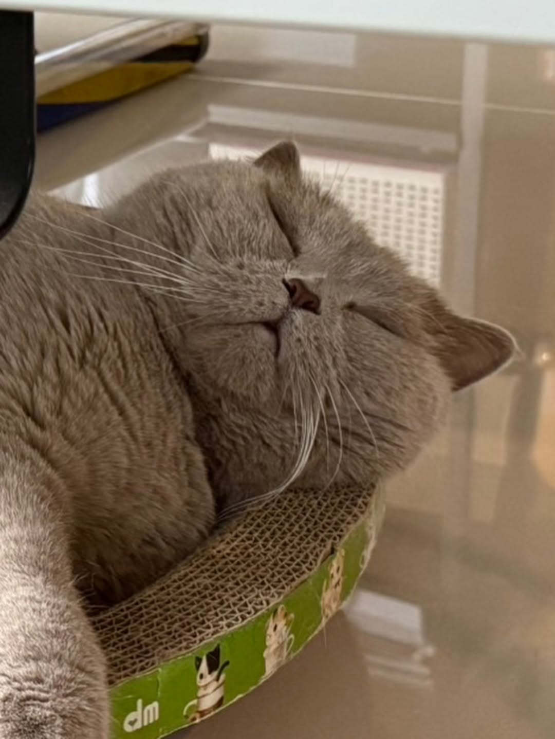 ต้าเหนิง - กัญญาวีร์ สองเมือง