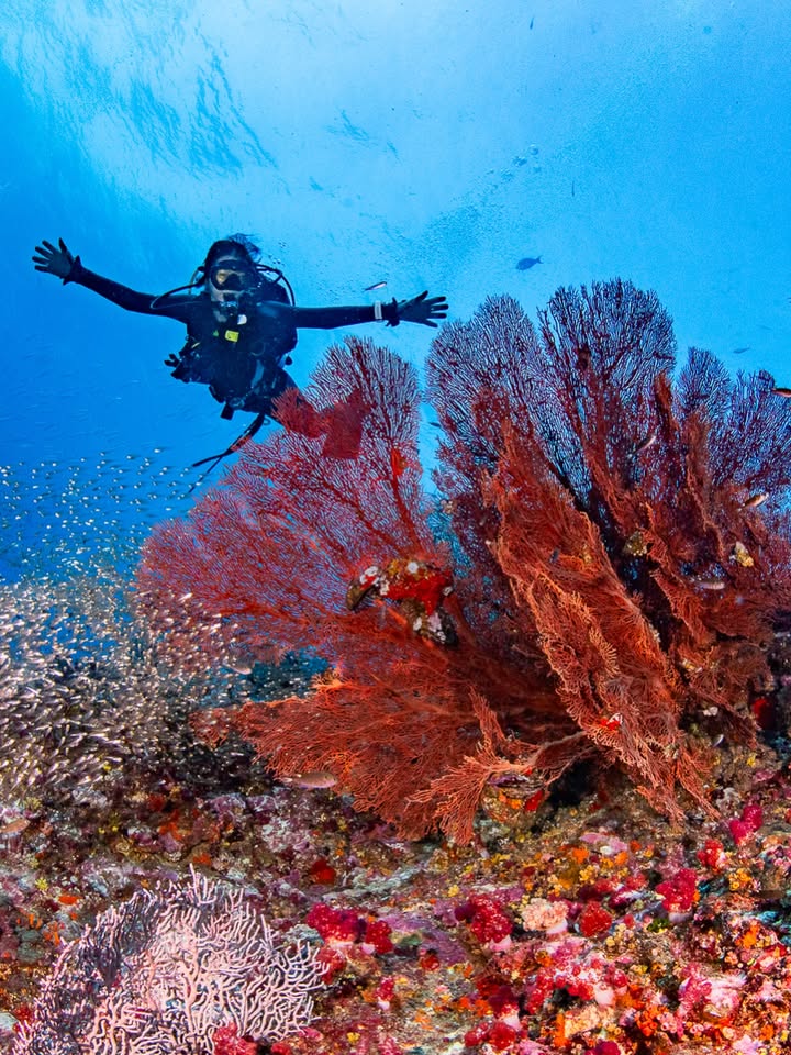 ต้าเหนิง - กัญญาวีร์ สองเมือง