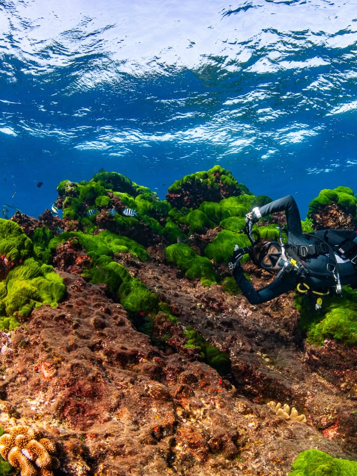 ต้าเหนิง - กัญญาวีร์ สองเมือง