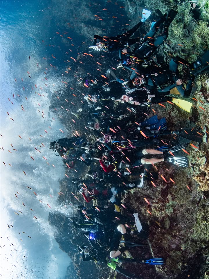 ต้าเหนิง - กัญญาวีร์ สองเมือง