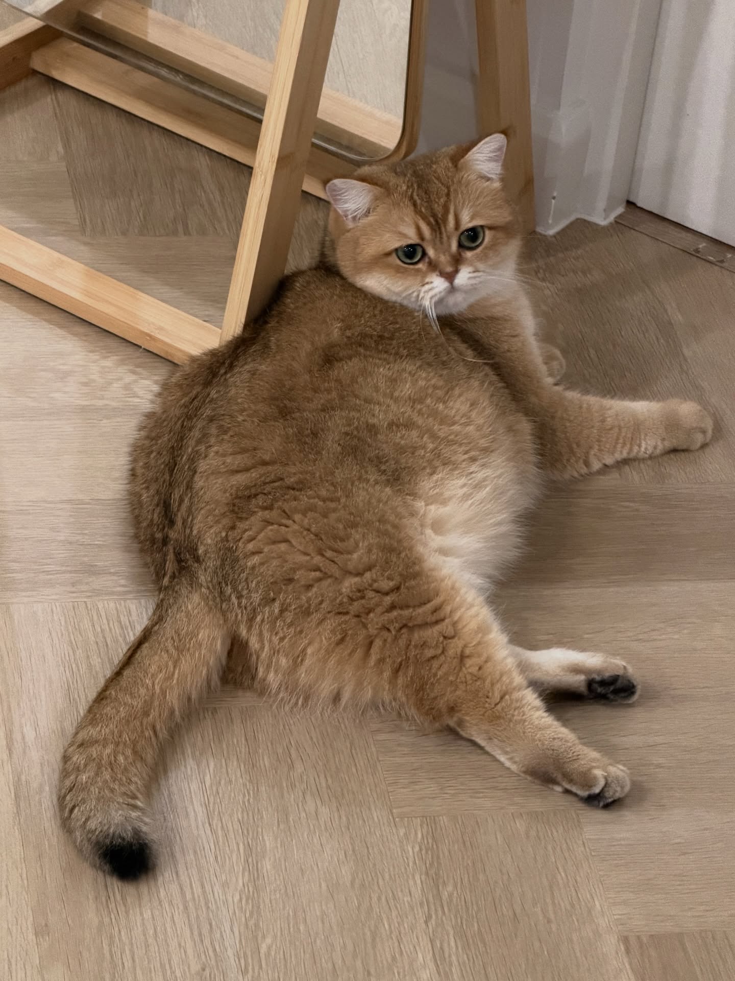 ต้าเหนิง - กัญญาวีร์ สองเมือง