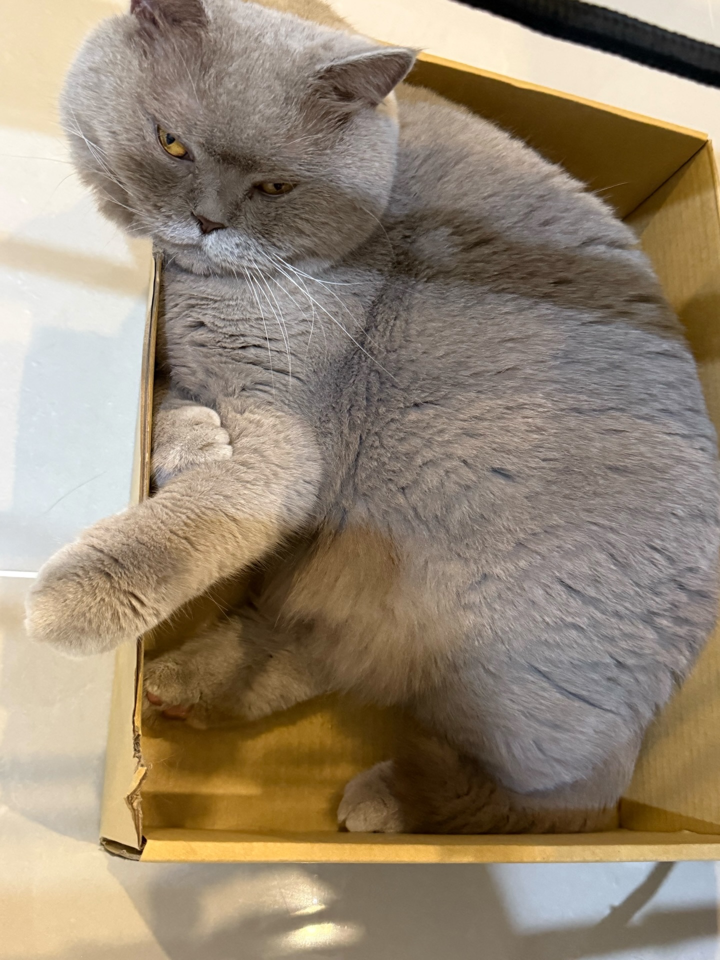 ต้าเหนิง - กัญญาวีร์ สองเมือง