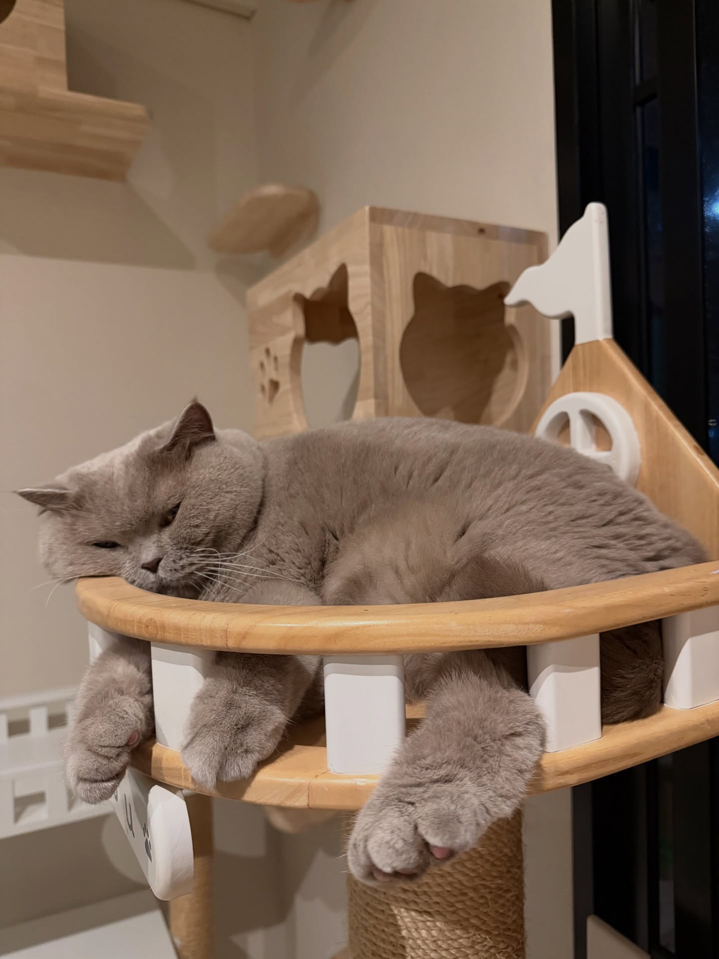 ต้าเหนิง - กัญญาวีร์ สองเมือง