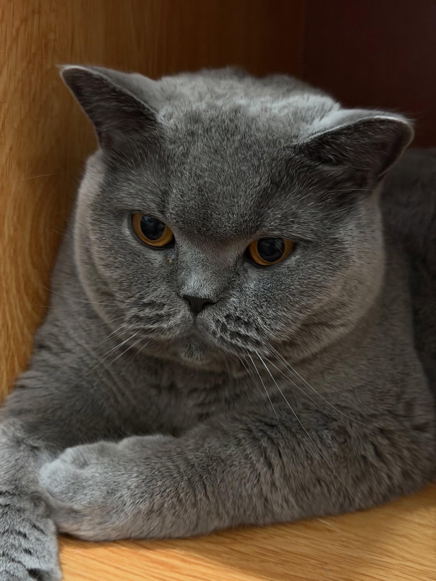 ต้าเหนิง - กัญญาวีร์ สองเมือง