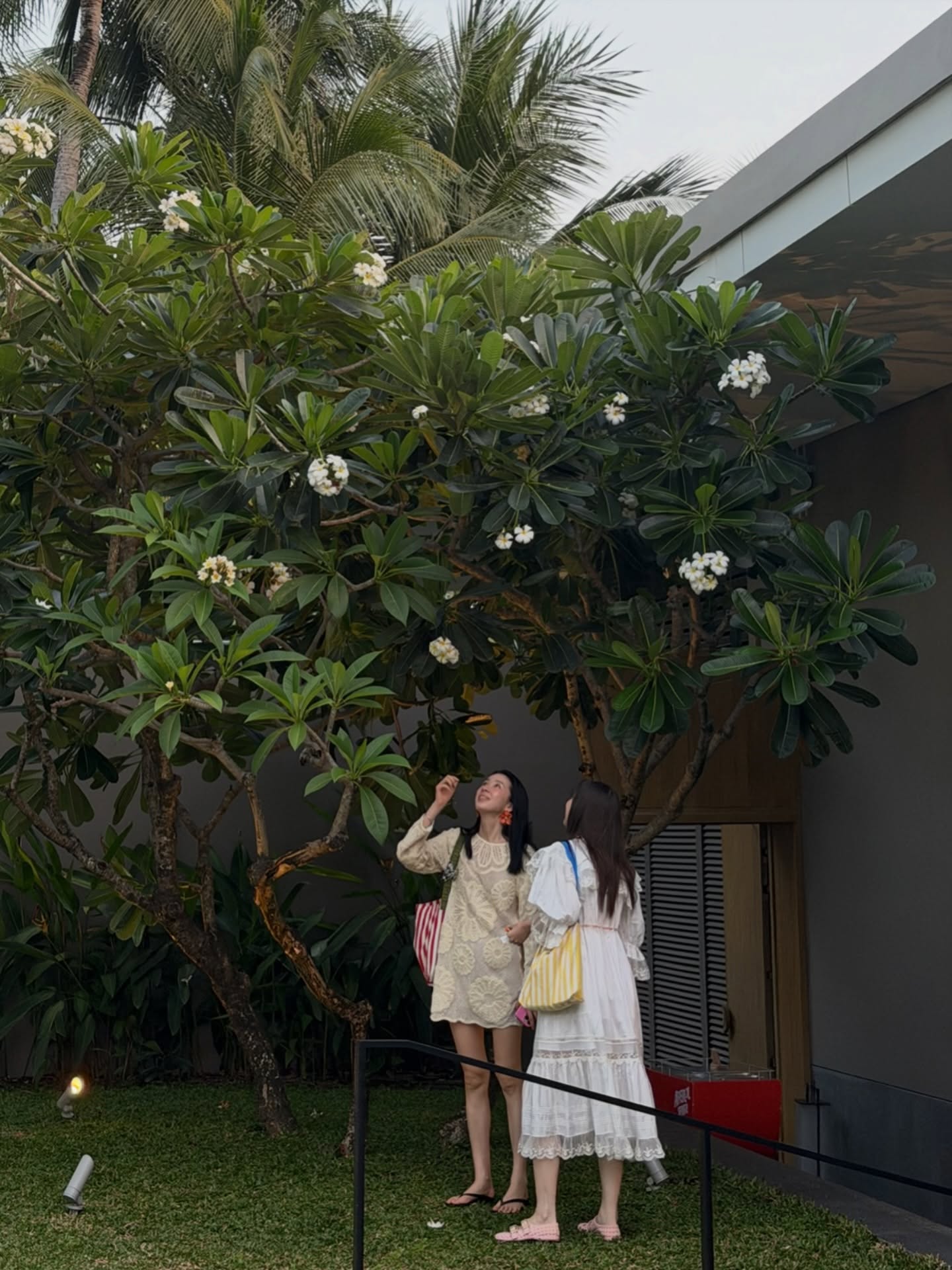 ต้าเหนิง - กัญญาวีร์ สองเมือง