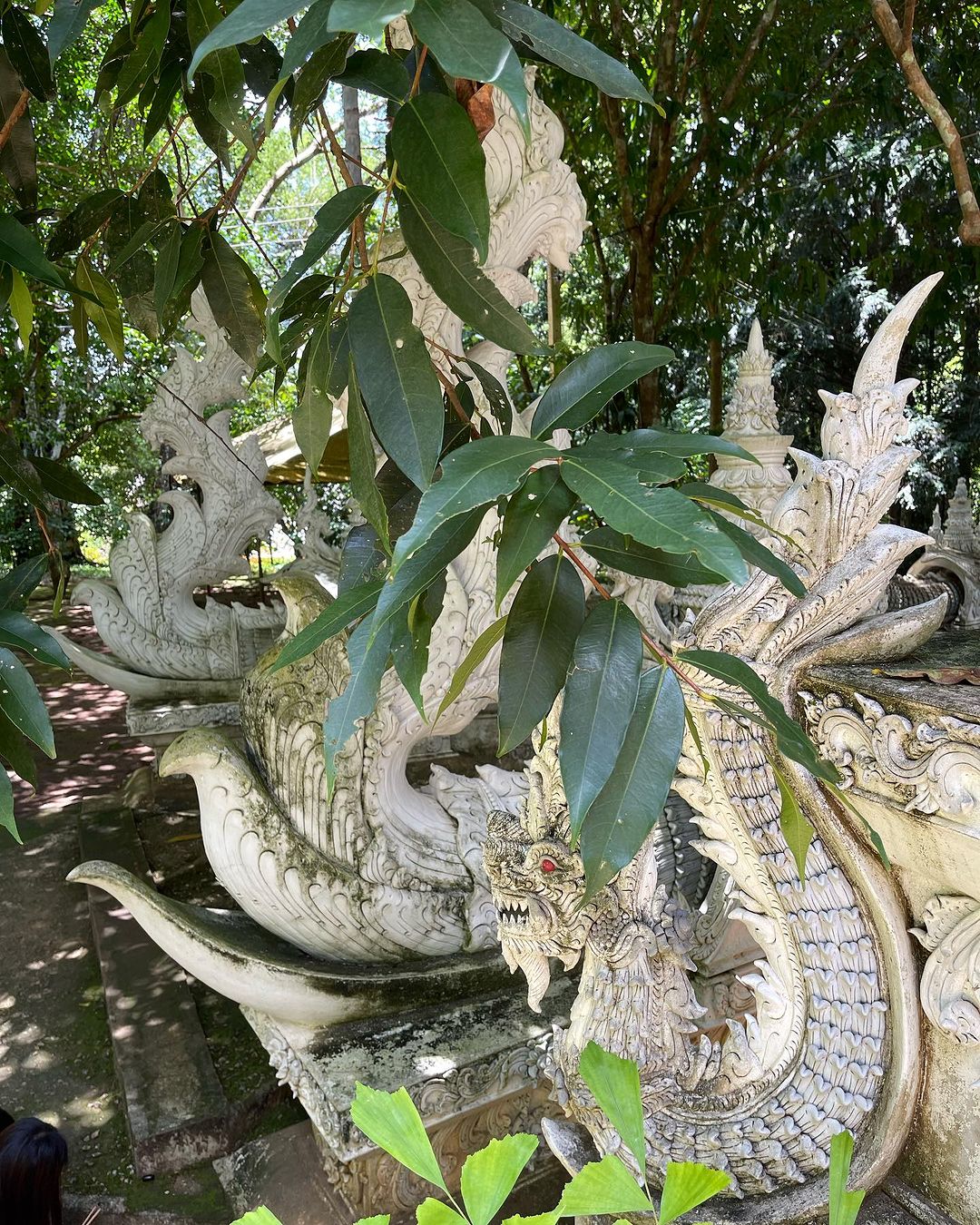 โอปอล์ - ปาณิสรา อารยะสกุล