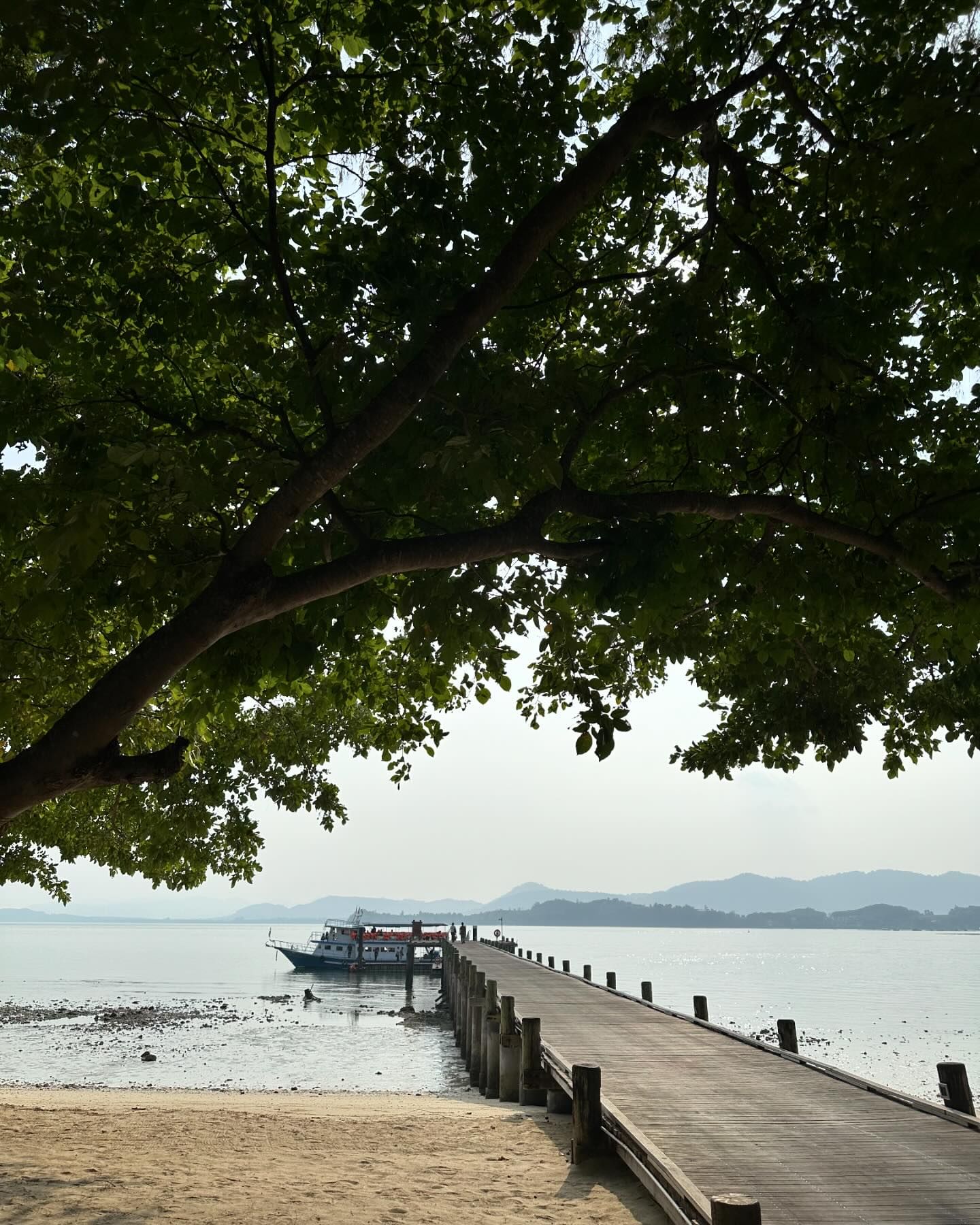 โอปอล์ - ปาณิสรา อารยะสกุล
