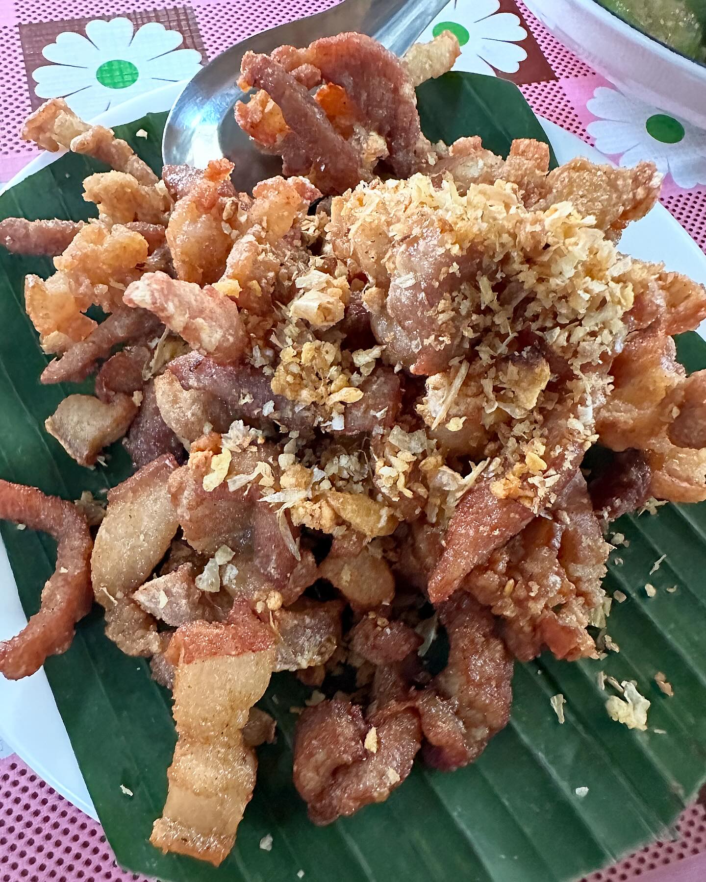 โอปอล์ - ปาณิสรา อารยะสกุล