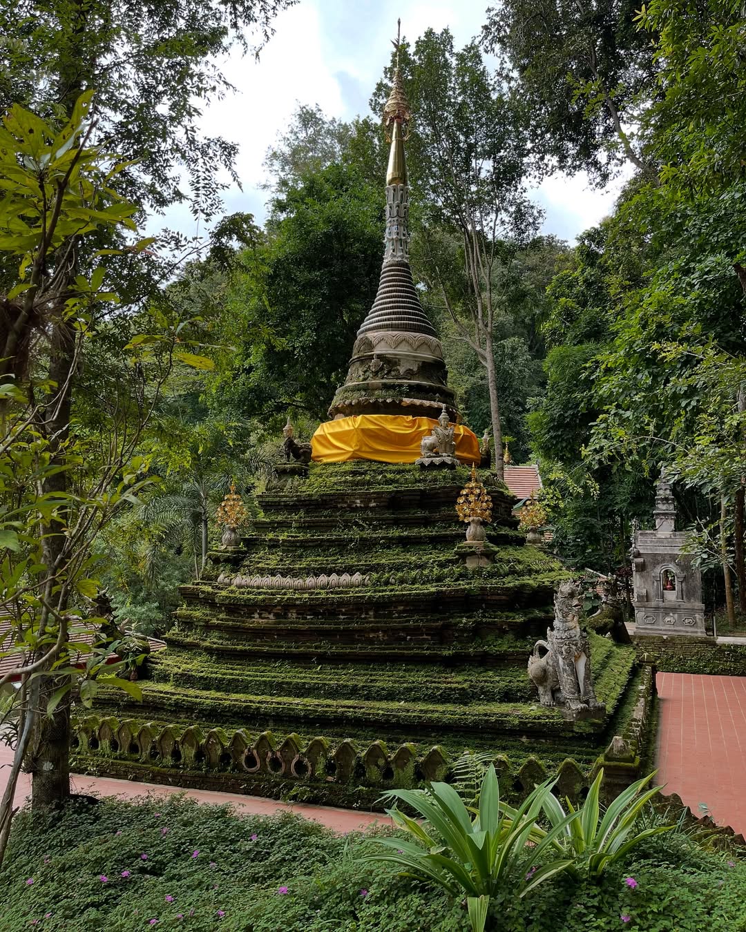โอปอล์ - ปาณิสรา อารยะสกุล