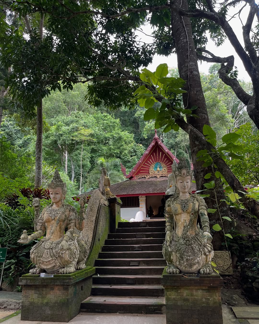โอปอล์ - ปาณิสรา อารยะสกุล