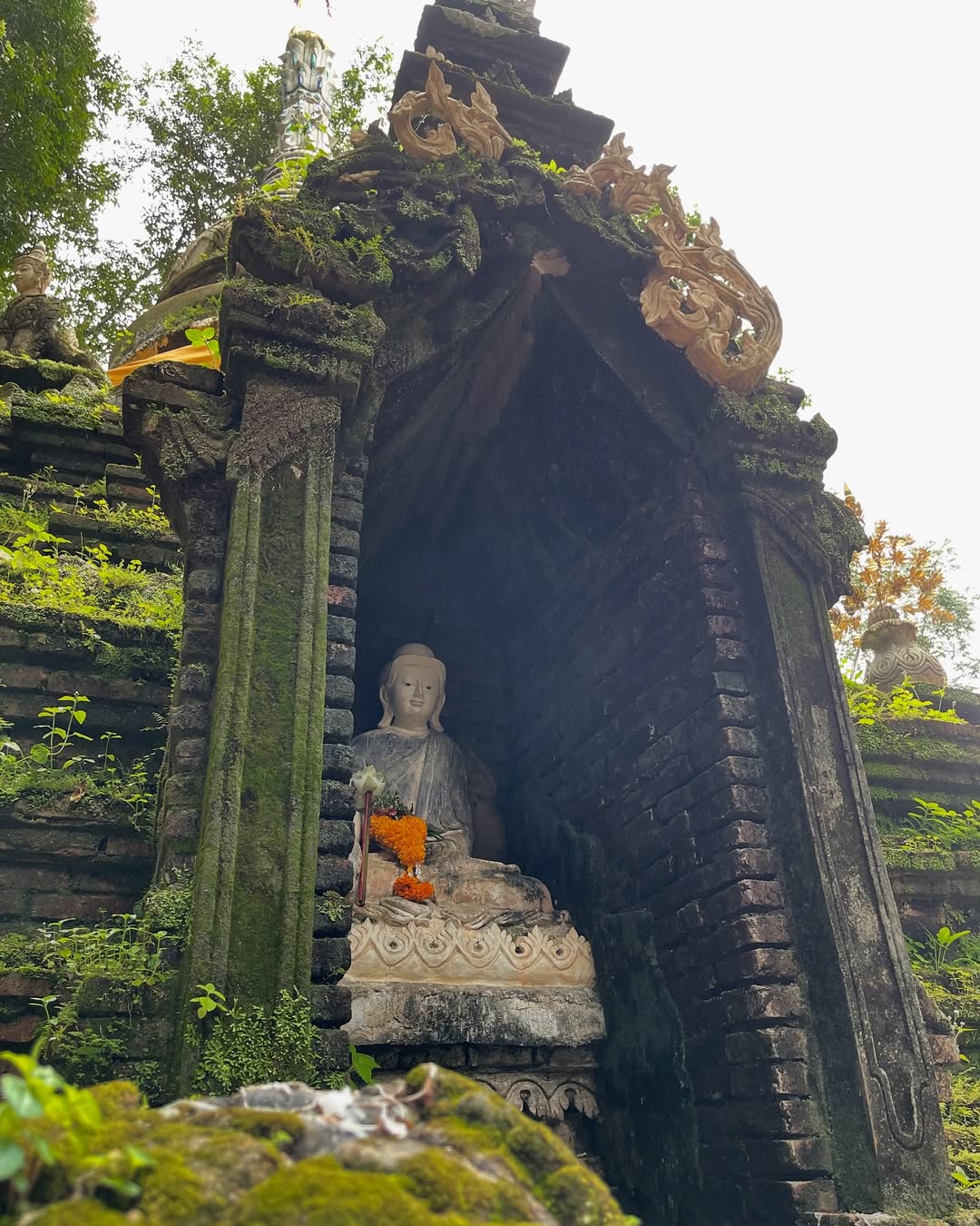 โอปอล์ - ปาณิสรา อารยะสกุล