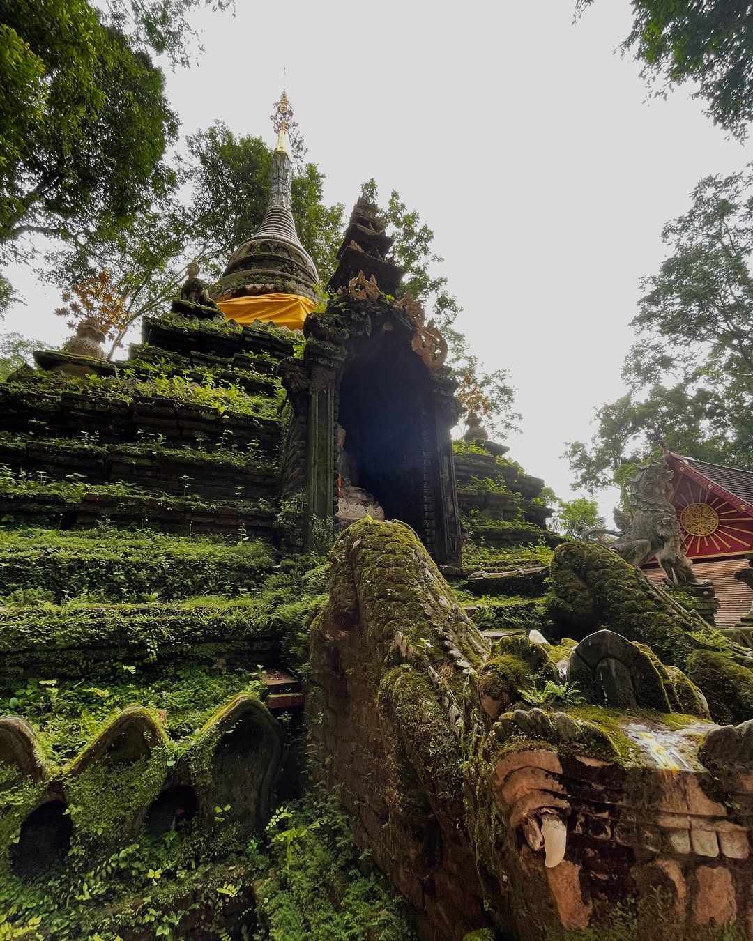 โอปอล์ - ปาณิสรา อารยะสกุล