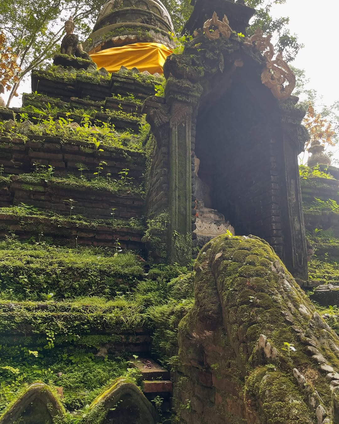โอปอล์ - ปาณิสรา อารยะสกุล
