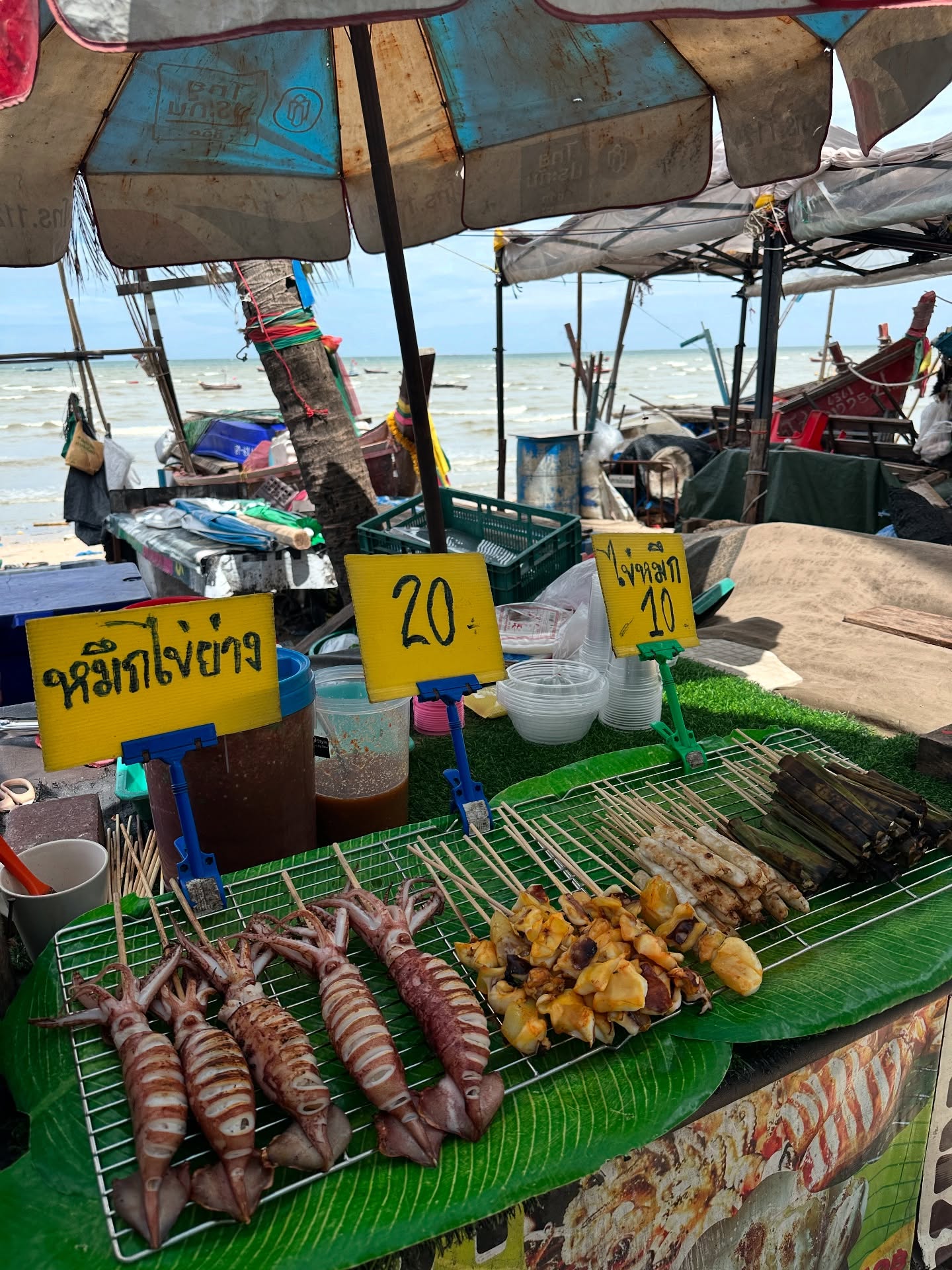 โอปอล์ - ปาณิสรา อารยะสกุล