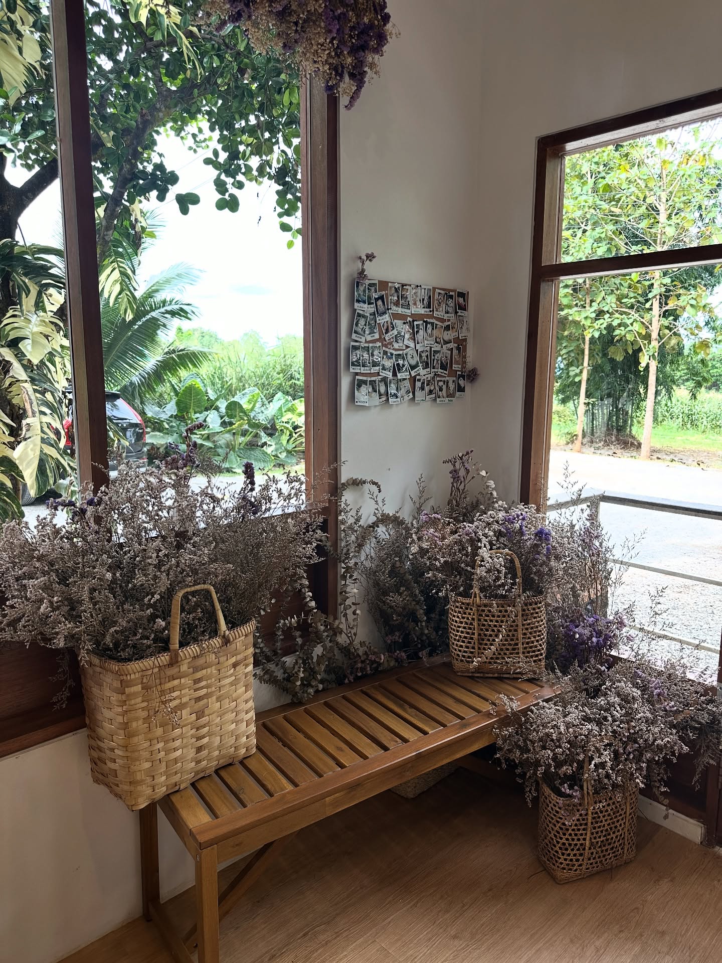 โอปอล์ - ปาณิสรา อารยะสกุล