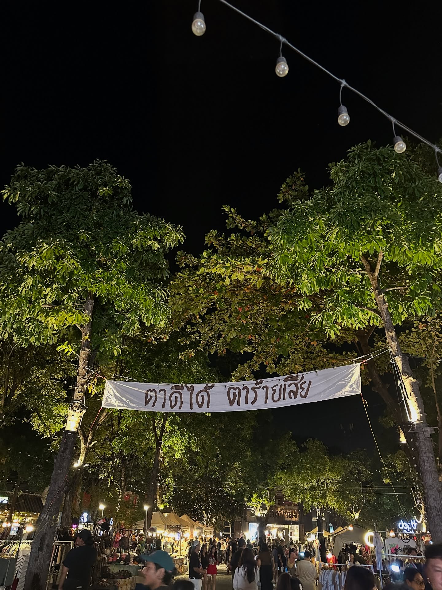 โอปอล์ - ปาณิสรา อารยะสกุล