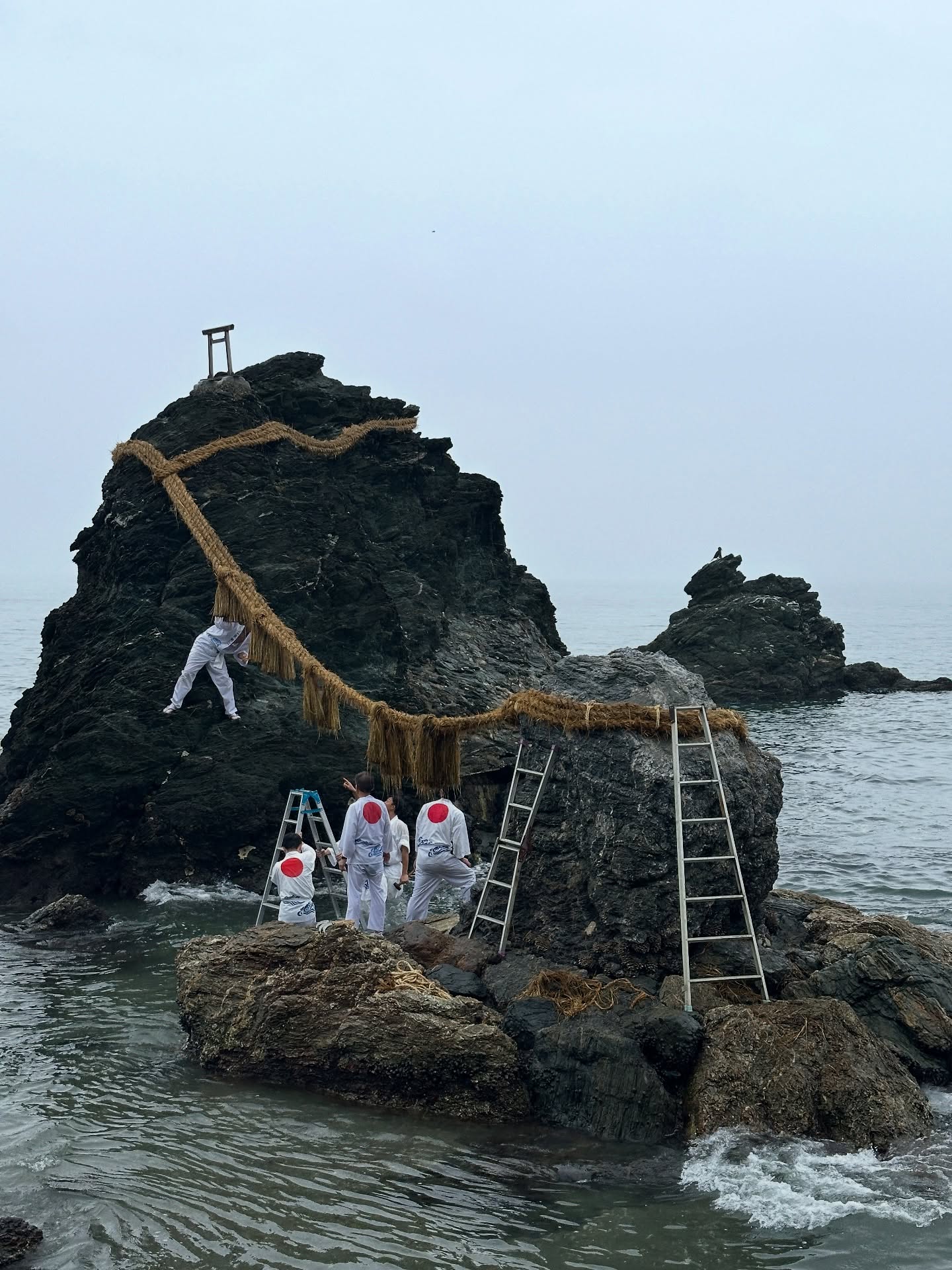 โอปอล์ - ปาณิสรา อารยะสกุล