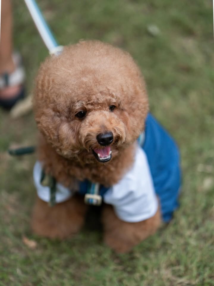 โอปอล์ - ปาณิสรา อารยะสกุล