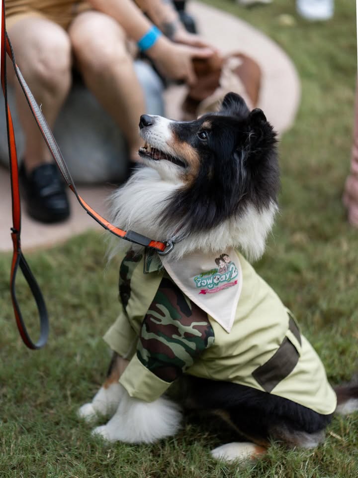 โอปอล์ - ปาณิสรา อารยะสกุล