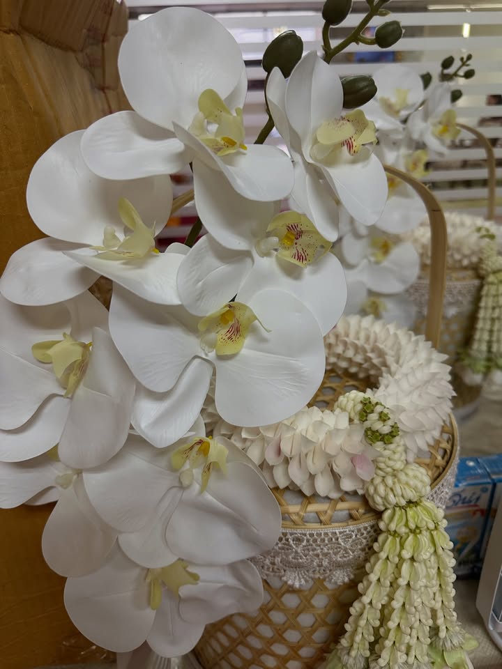 โอปอล์ - ปาณิสรา อารยะสกุล