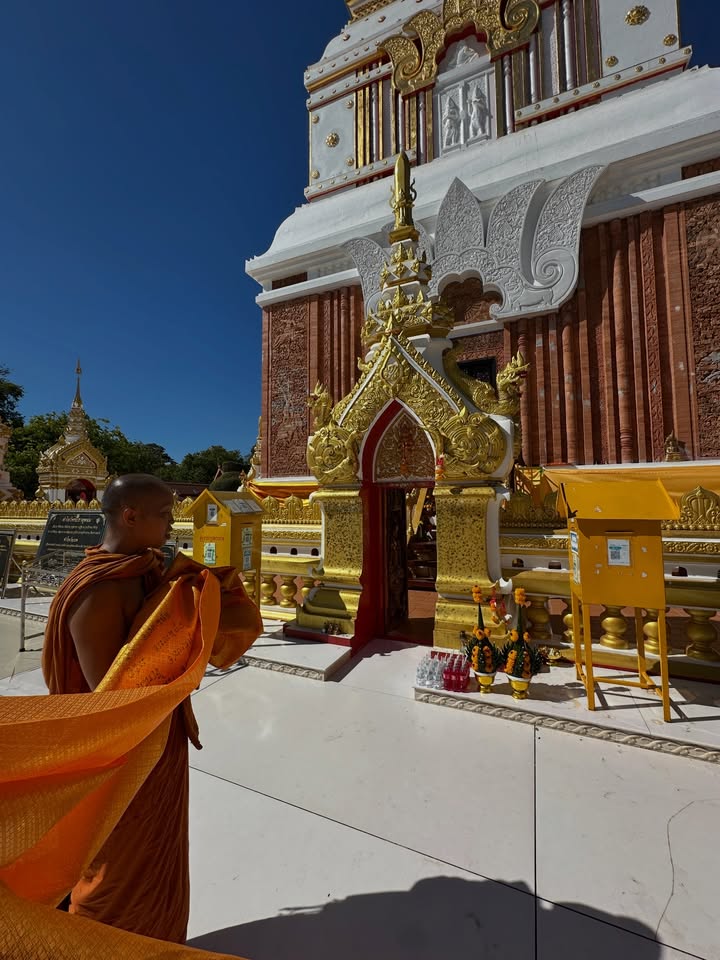 โอปอล์ - ปาณิสรา อารยะสกุล