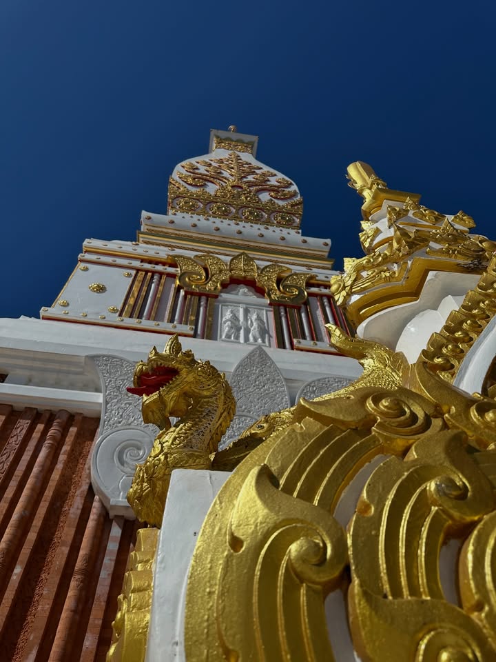 โอปอล์ - ปาณิสรา อารยะสกุล