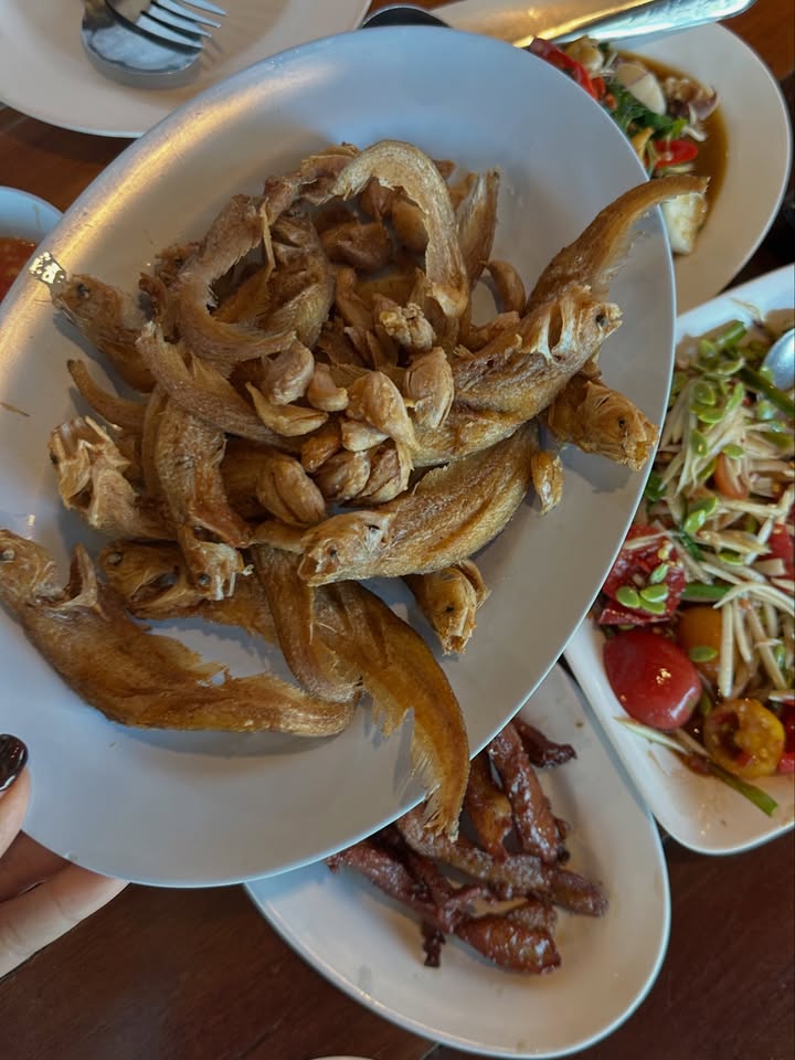 โอปอล์ - ปาณิสรา อารยะสกุล