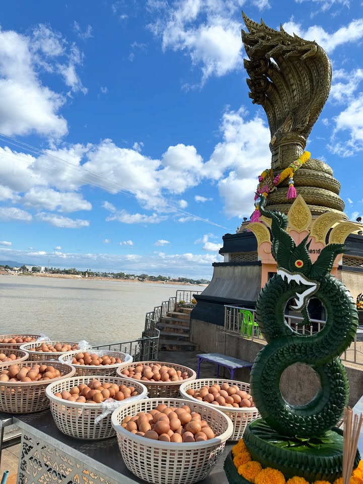 โอปอล์ - ปาณิสรา อารยะสกุล