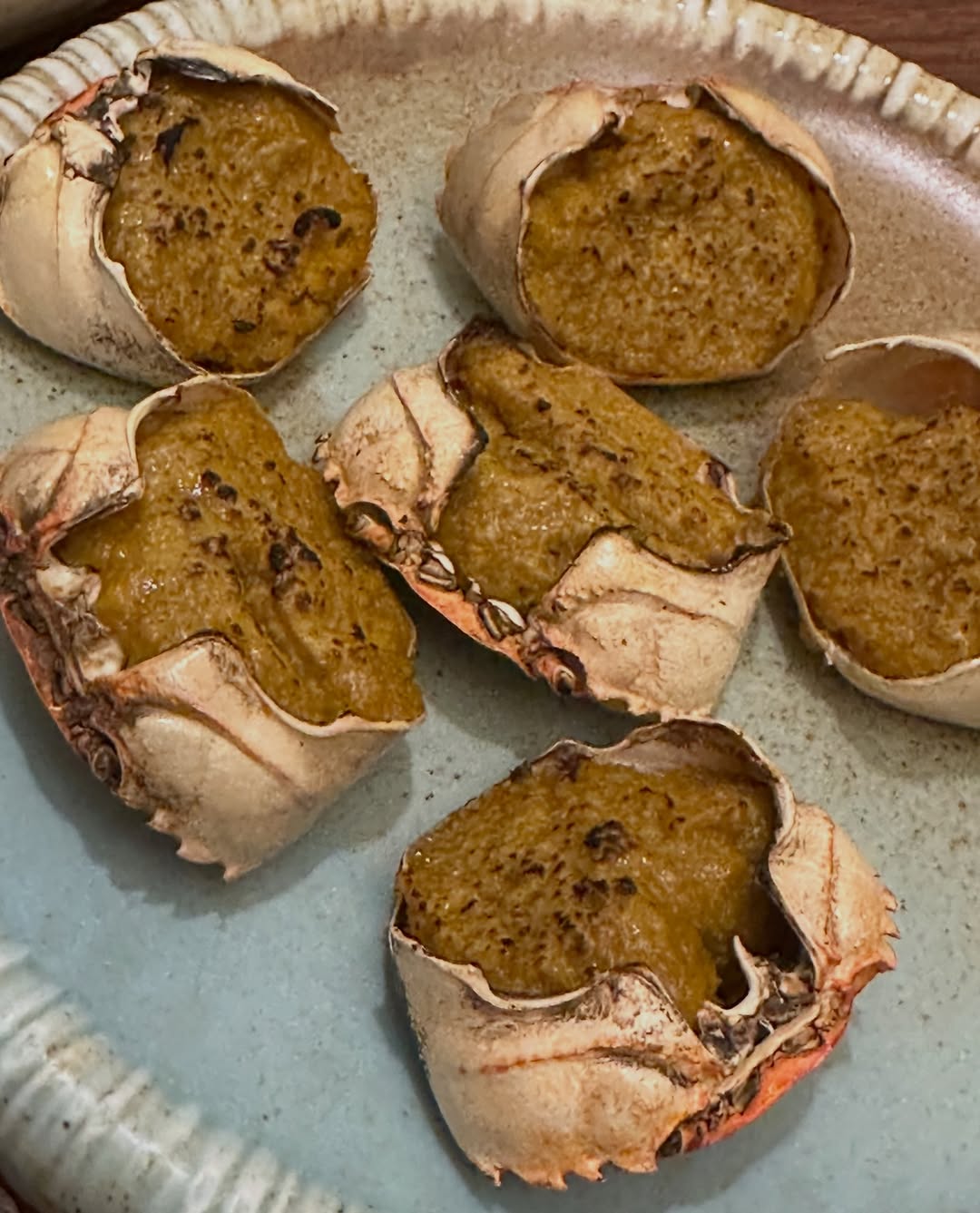 โอปอล์ - ปาณิสรา อารยะสกุล