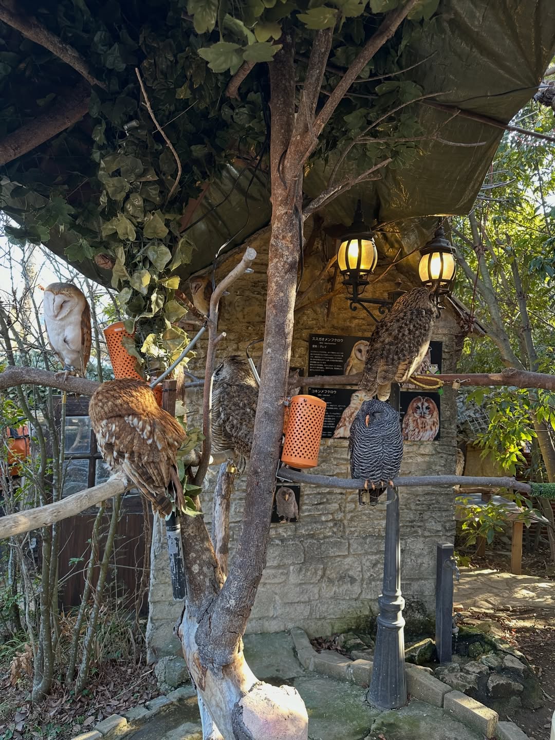 โอปอล์ - ปาณิสรา อารยะสกุล